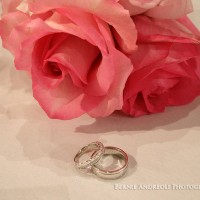 A rose and wedding rings