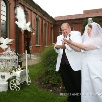 Dove Release