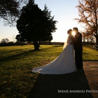 A kiss lit by sunlight