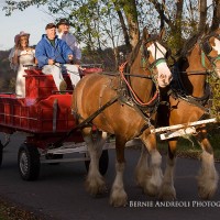 Creative Bridal Session with Bride and Groom in a Clydesdale horse drawn red wagon